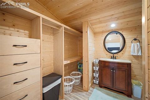 Tiny photo for 213 Willow Road, Divide, CO 80814 (MLS # 8237967)