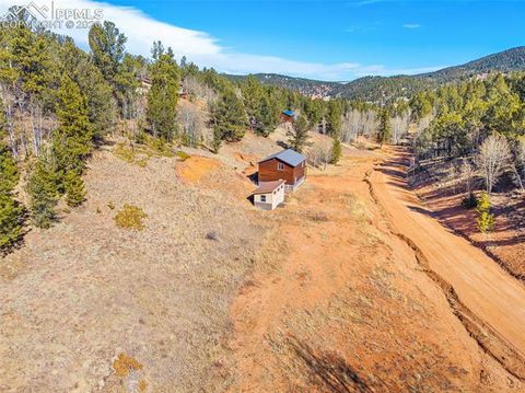 Tiny photo for 213 Willow Road, Divide, CO 80814 (MLS # 8237967)