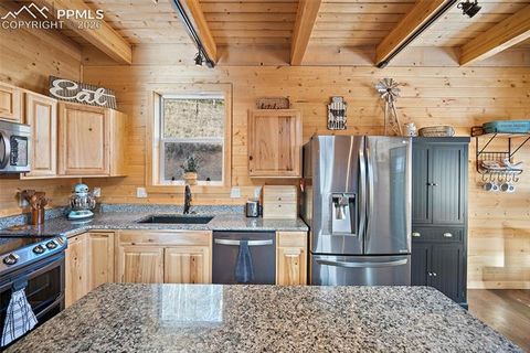 Tiny photo for 213 Willow Road, Divide, CO 80814 (MLS # 8237967)