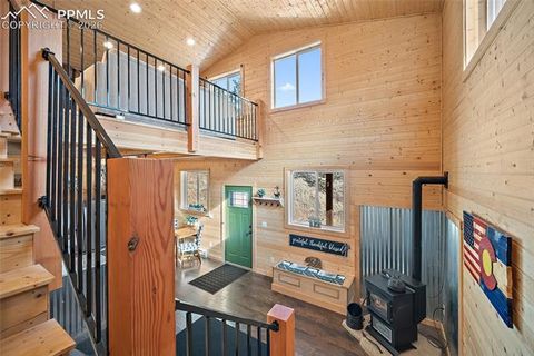 Tiny photo for 213 Willow Road, Divide, CO 80814 (MLS # 8237967)