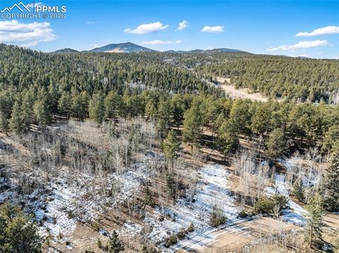 Photo of 20 Echo Lake Drive, Lake George, CO 80827 (MLS # 6187789)