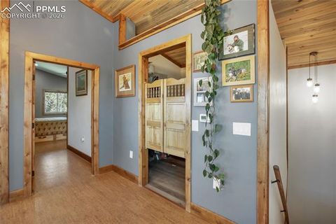 Tiny photo for 2747 County Road 61, Cripple Creek, CO 80813 (MLS # 7686684)