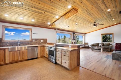 Tiny photo for 2747 County Road 61, Cripple Creek, CO 80813 (MLS # 7686684)