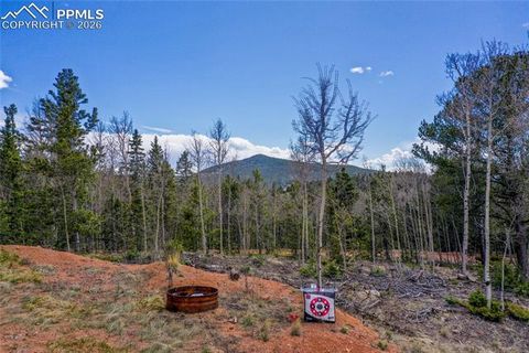 Tiny photo for 2747 County Road 61, Cripple Creek, CO 80813 (MLS # 7686684)