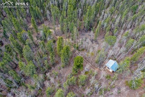 Tiny photo for 2747 County Road 61, Cripple Creek, CO 80813 (MLS # 7686684)