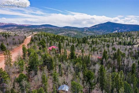 Tiny photo for 2747 County Road 61, Cripple Creek, CO 80813 (MLS # 7686684)