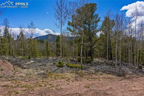 Tiny photo for 2747 County Road 61, Cripple Creek, CO 80813 (MLS # 7686684)