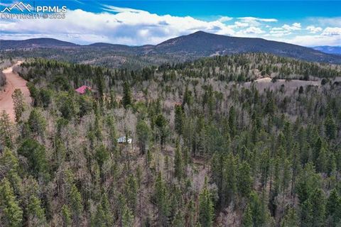 Tiny photo for 2747 County Road 61, Cripple Creek, CO 80813 (MLS # 7686684)