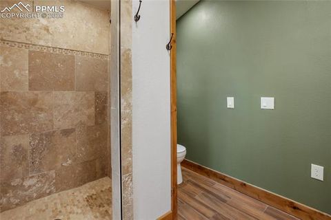 Tiny photo for 2747 County Road 61, Cripple Creek, CO 80813 (MLS # 7686684)