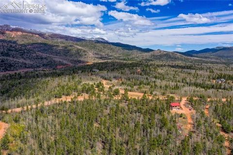Tiny photo for 2747 County Road 61, Cripple Creek, CO 80813 (MLS # 7686684)