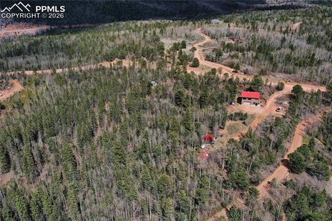 Tiny photo for 2747 County Road 61, Cripple Creek, CO 80813 (MLS # 7686684)
