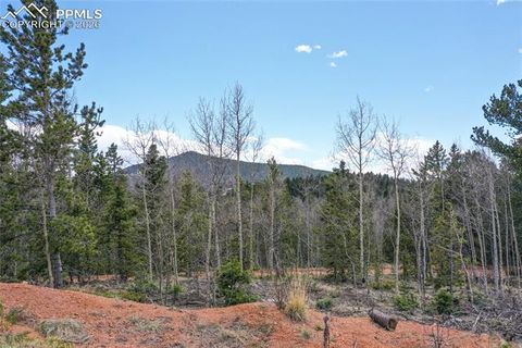 Tiny photo for 2747 County Road 61, Cripple Creek, CO 80813 (MLS # 7686684)
