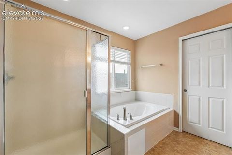 Tiny photo for 7723 Autumn Leaf Way, Colorado Springs, CO 80922 (MLS # 6000913)