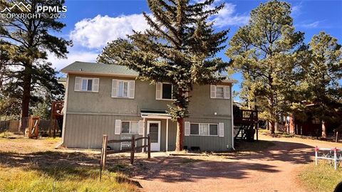 Photo of 418 N Baldwin Street, Woodland Park, CO 80863 (MLS # 3189427)