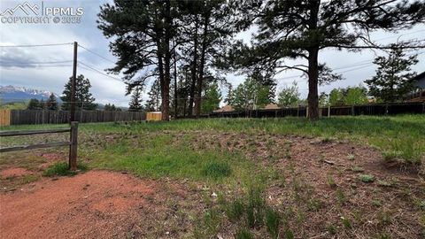 Tiny photo for 418 N Baldwin Street, Woodland Park, CO 80863 (MLS # 3189427)