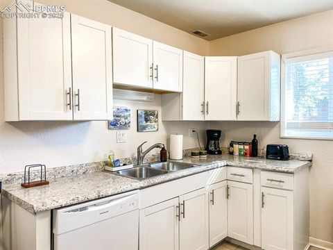 Tiny photo for 418 N Baldwin Street, Woodland Park, CO 80863 (MLS # 3189427)