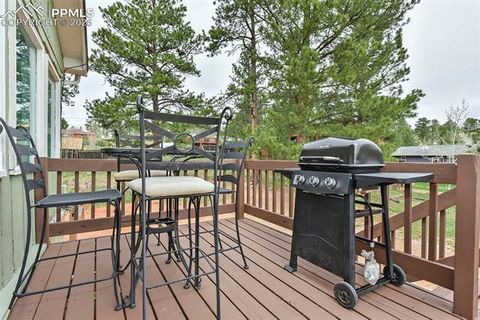 Tiny photo for 418 N Baldwin Street, Woodland Park, CO 80863 (MLS # 3189427)
