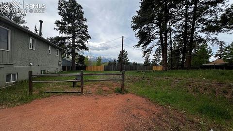 Tiny photo for 418 N Baldwin Street, Woodland Park, CO 80863 (MLS # 3189427)