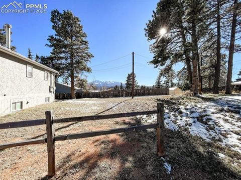 Tiny photo for 418 N Baldwin Street, Woodland Park, CO 80863 (MLS # 3189427)