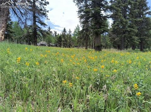 Photo of Will Scarlet Drive, Divide, CO 80814 (MLS # 3635935)