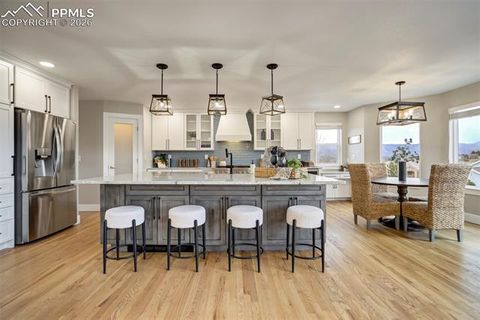 Tiny photo for 13860 Horsetail Terrace, Colorado Springs, CO 80921 (MLS # 5526022)