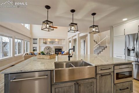 Tiny photo for 13860 Horsetail Terrace, Colorado Springs, CO 80921 (MLS # 5526022)