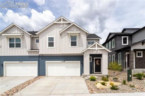 17698 Lemon Rye Loop Monument CO 80132