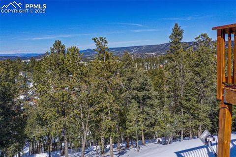 Tiny photo for 269 Klitowya Trail, Woodland Park, CO 80863 (MLS # 7838713)