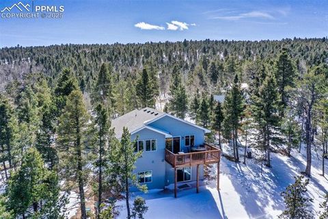 Tiny photo for 269 Klitowya Trail, Woodland Park, CO 80863 (MLS # 7838713)