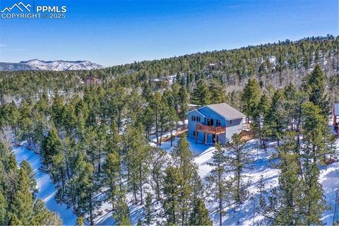 Tiny photo for 269 Klitowya Trail, Woodland Park, CO 80863 (MLS # 7838713)
