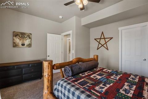 Tiny photo for 269 Klitowya Trail, Woodland Park, CO 80863 (MLS # 7838713)
