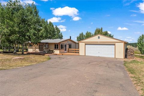 Photo of 215 Will Scarlet Drive, Divide, CO 80814 (MLS # 4708343)