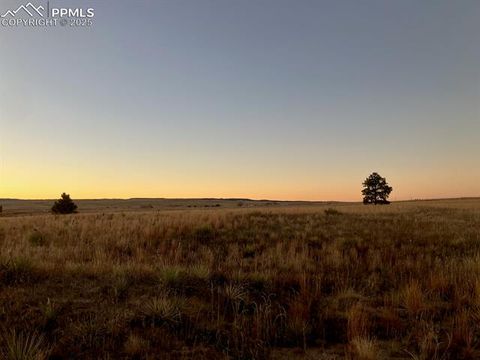 23450 Fastbrook Lane Calhan CO 80808