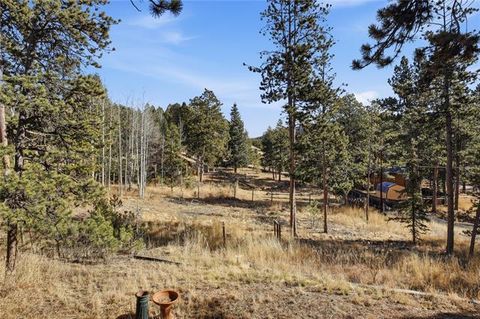 Tiny photo for 271 W Ridge Drive, Woodland Park, CO 80863 (MLS # 6585538)