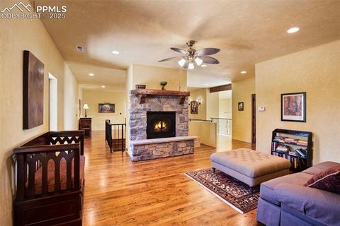 Tiny photo for 419 Lucky Lady Drive, Woodland Park, CO 80863 (MLS # 7969709)