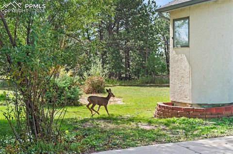 Tiny photo for 2655 Crestwood Drive, Monument, CO 80132 (MLS # 3765097)