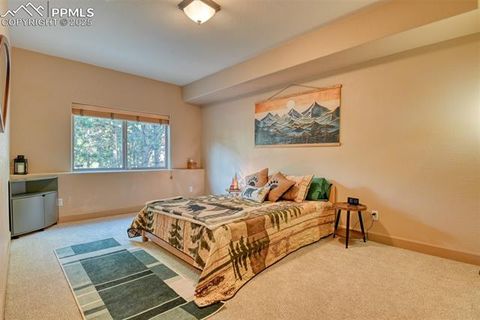 Tiny photo for 1063 Greenland Forest Drive, Monument, CO 80132 (MLS # 8813799)