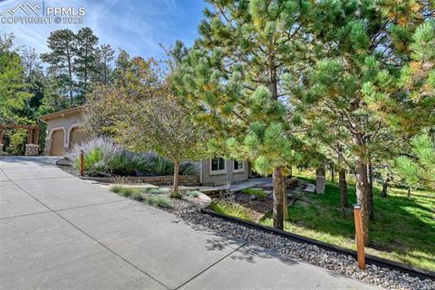 Tiny photo for 1063 Greenland Forest Drive, Monument, CO 80132 (MLS # 8813799)