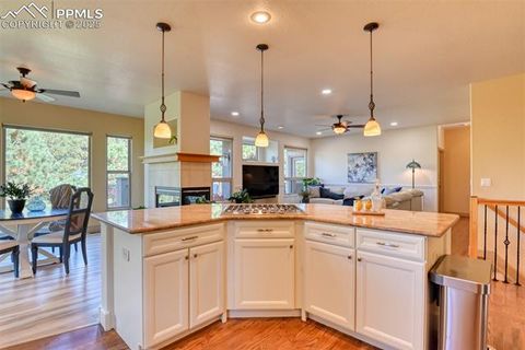 Tiny photo for 1063 Greenland Forest Drive, Monument, CO 80132 (MLS # 8813799)