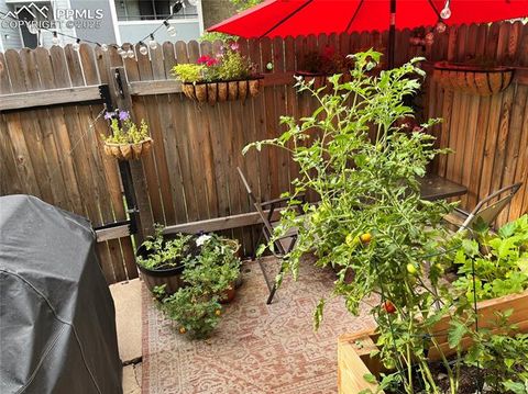 Tiny photo for 906 London Green Way, Colorado Springs, CO 80906 (MLS # 8150069)