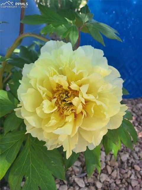 Tiny photo for 8875 Tranquil Knoll Lane, Colorado Springs, CO 80927 (MLS # 7979148)