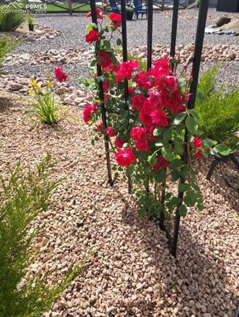 Tiny photo for 8875 Tranquil Knoll Lane, Colorado Springs, CO 80927 (MLS # 7979148)