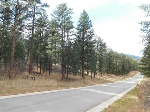 Photo of 8139 Bannock Drive, Larkspur, CO 80118 (MLS # 8458814)