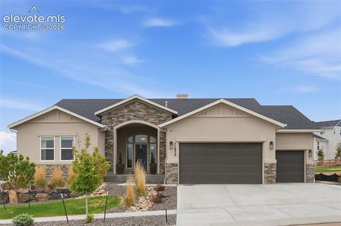 Photo of 11872 Hawk Stone Drive, Colorado Springs, CO 80921 (MLS # 2889646)