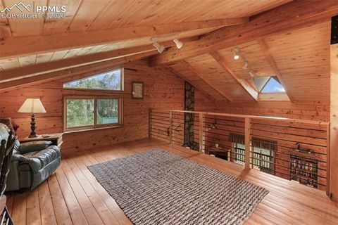 Tiny photo for 133 Vail Drive, Florissant, CO 80816 (MLS # 6515142)