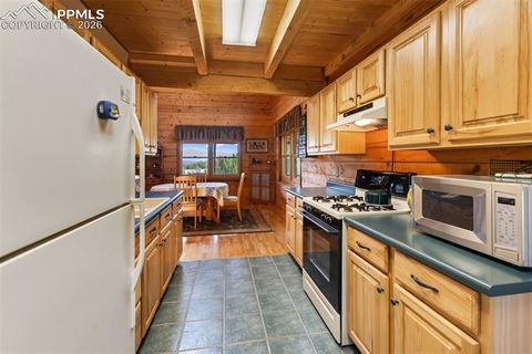 Tiny photo for 133 Vail Drive, Florissant, CO 80816 (MLS # 6515142)