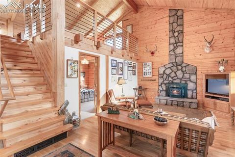 Tiny photo for 133 Vail Drive, Florissant, CO 80816 (MLS # 6515142)