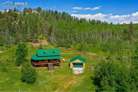 Tiny photo for 133 Vail Drive, Florissant, CO 80816 (MLS # 6515142)