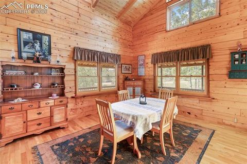 Tiny photo for 133 Vail Drive, Florissant, CO 80816 (MLS # 6515142)