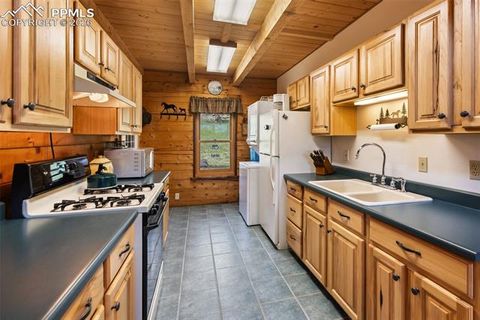 Tiny photo for 133 Vail Drive, Florissant, CO 80816 (MLS # 6515142)